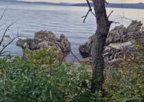 O umiranju O umiranju