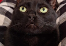 Nakon duge i teške…